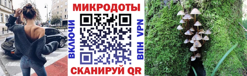Псилоцибиновые грибы мицелий  купить   Уварово 